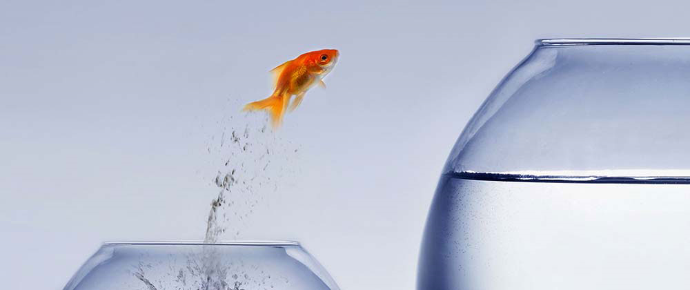 particuliers 5 developpement personnel 